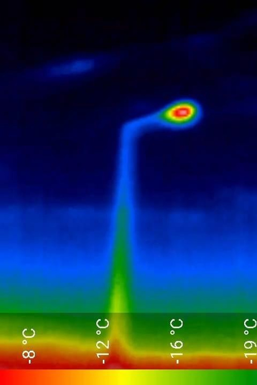 Bat Watching Madeira - Discover the Unique Experience of Bat Watching in Madeira