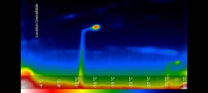 Bat Watching Madeira - The Nature of the 3-Hour Nighttime Exploration