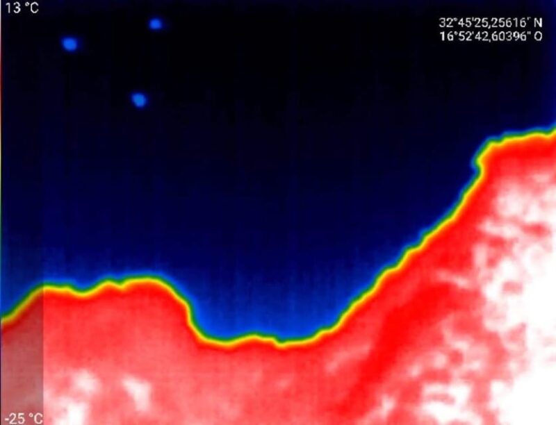 Bat Watching Madeira - Contributing to Conservation While Enjoying Nature