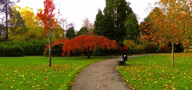 Bath : 2 Hour Historic Walking Tour With An App - Visiting The Holburne Museum and Jane Austen’s Connection