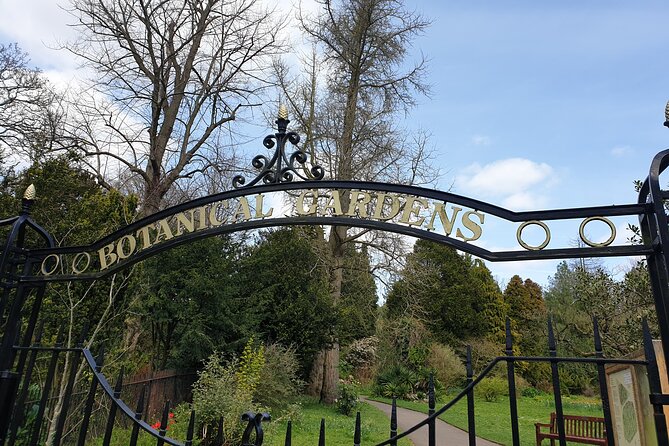 Bath - (4 hours) Extended Walking Tour - Blue Badge guide - No. 1 Royal Crescent and the Holburne Museum