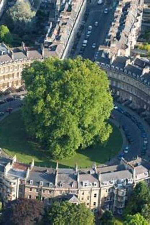 Bath: Guided walking tour of Historic Sights & Pubs (3h) - Architectural Marvels: Queen Square, The Circus, and Pulteney Bridge