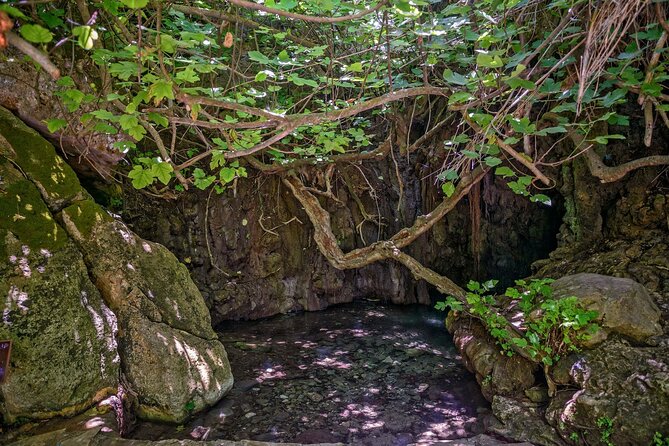 Baths of Aphrodite, Latchi and Blue Lagoon Cruise Tour - What Makes This Tour Stand Out: History, Relaxation, and Value