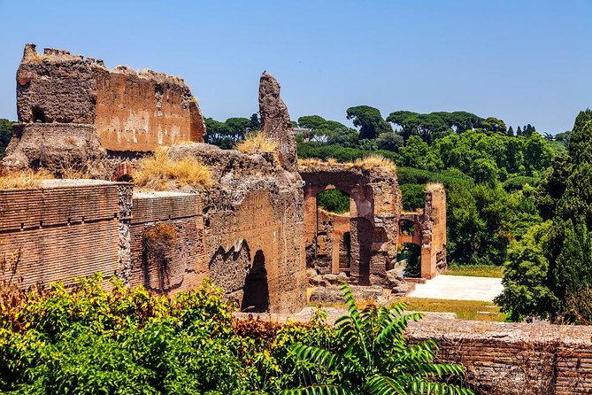 Baths of Caracalla Exclusive Private Tour | Roman Daily Life Walking Guided Tour - Dive into Ancient Rome with a Private Tour of the Baths of Caracalla