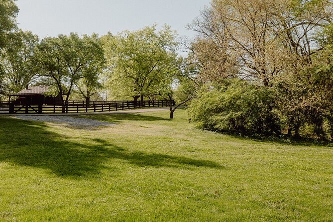 Battle at Belle Meade Civil War Tour & Complimentary Wine Tasting - The Role of the US Colored Troops and Local Battles