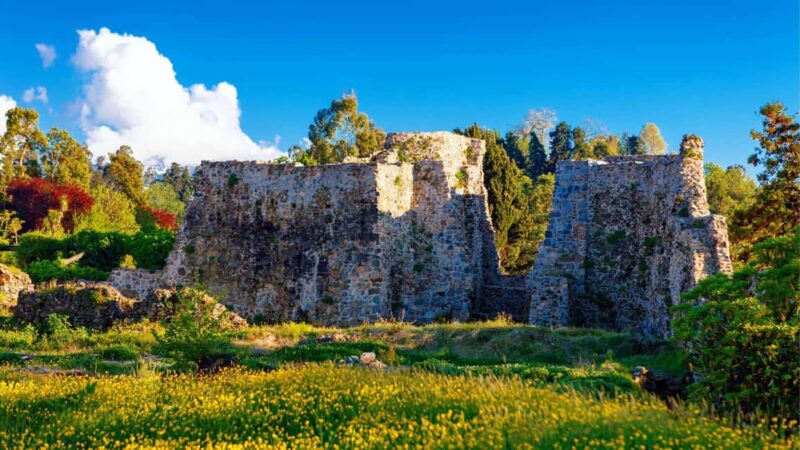 Batumi City - Botanical Garden - Petra Fortress from Kutaisi - Practical Info: Meeting Point and Tour Flexibility
