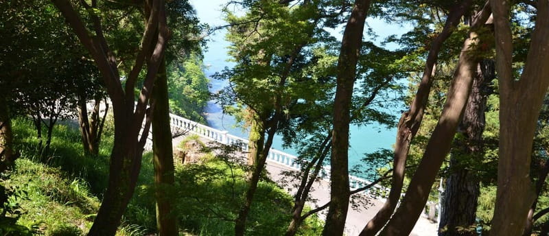 Batumi: Exploring Botanical Garden + Family Wine Tasting - The Sum Up: A Well-Rounded Day in Nature and Wine