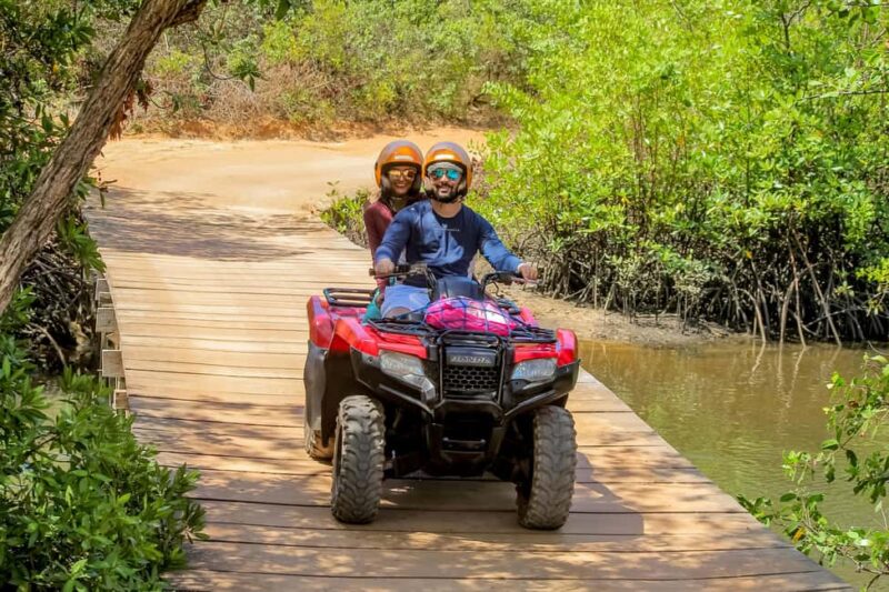 Batumi: Extreme Escape  ATV, Parasailing & Buggy - Parasailing Over the Batumi Coast