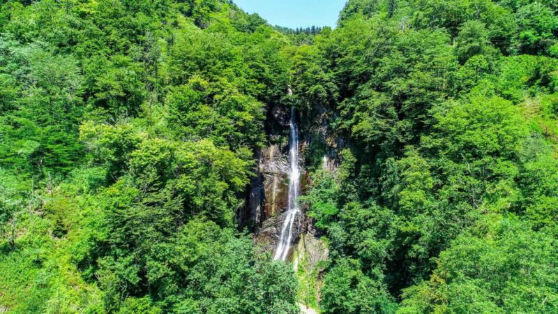 Batumi: Half Day Tour To Waterfalls With Activities - Key Points