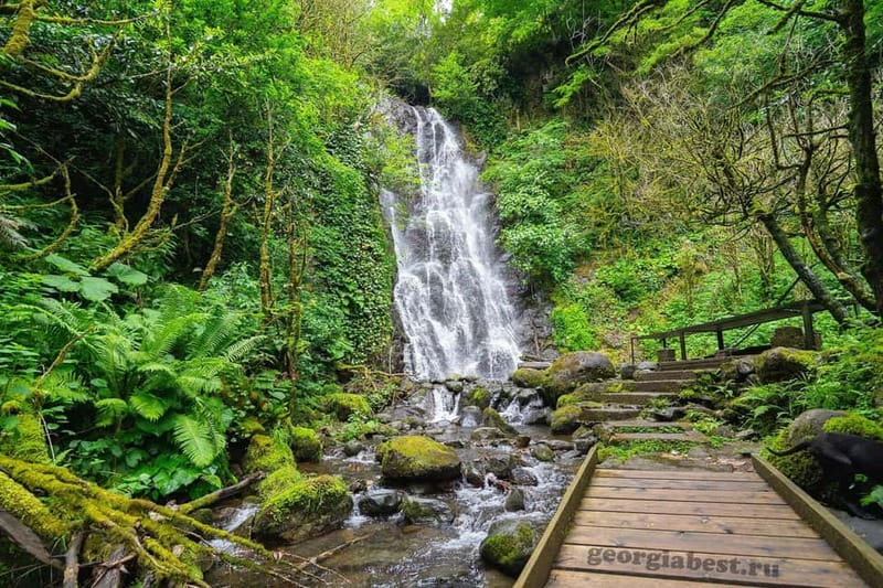 Batumi: Mountain Adjara Tour & Traditional Georgian Feast - Lunch with Regional Food and Traditional Dances