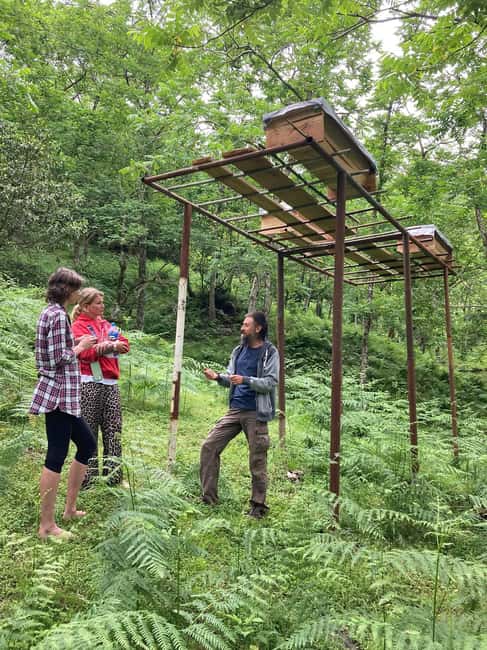 Batumi: Sweet Excursion and Mtirala Forest - Batumi: Sweet Excursion and Mtirala Forest – A Unique Look into Beekeeping and Nature