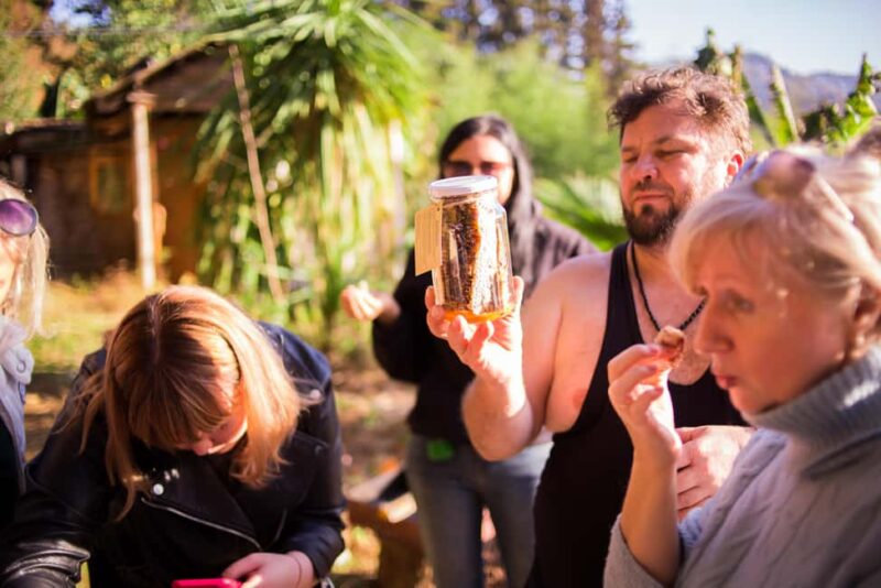 Batumi: Sweet Excursion and Mtirala Forest - Starting at Honey Dreams for a Honey and Beekeeping Lesson