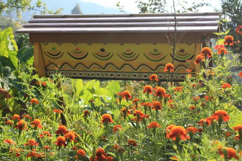 Batumi: Sweet Excursion and Mtirala Forest - The Forest Walk in Mtirala National Park