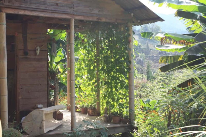 Batumi: Sweet Excursion and Mtirala Forest - Logistics and Practical Details