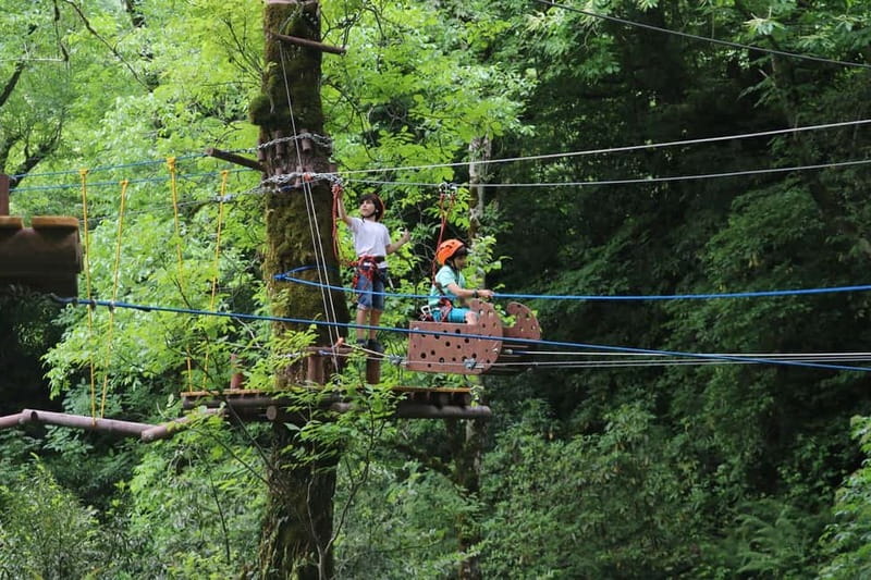 Batumi to Mtirala National park - Half day hiking group tour - The Role of the Guide: Friendly, Efficient, and Informative