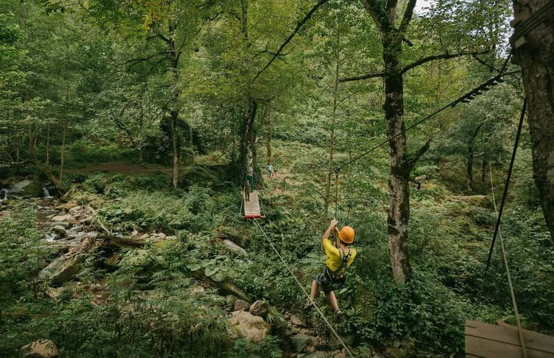 Batumi to Mtirala National park - Half day hiking group tour - Practical Tips: What To Bring and Who Should Avoid