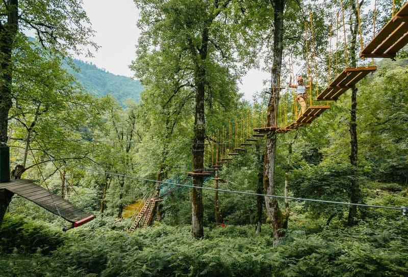 Batumi to Mtirala National park - Half day hiking group tour - Comparing This Tour to Other Local Adventures