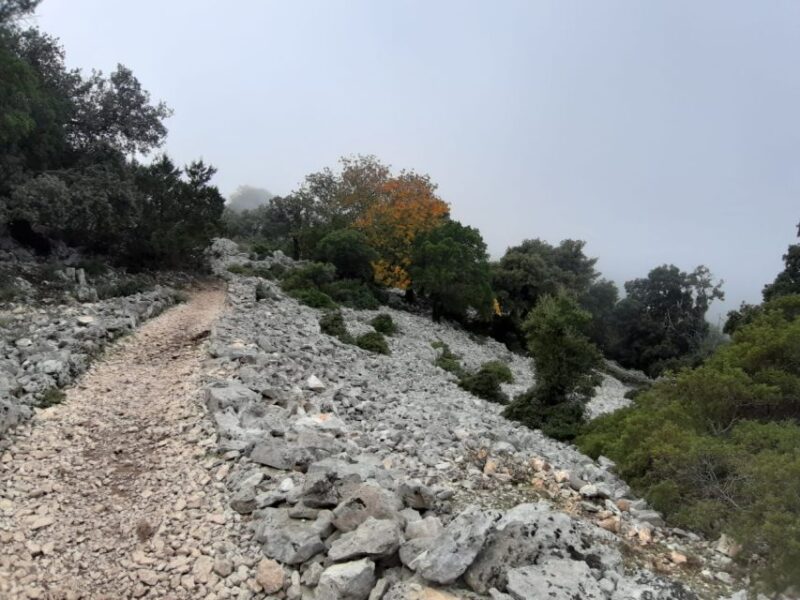 Baunei: Cala Goloritzè Trekking Tour with A Guide - Comparisons and Additional Options