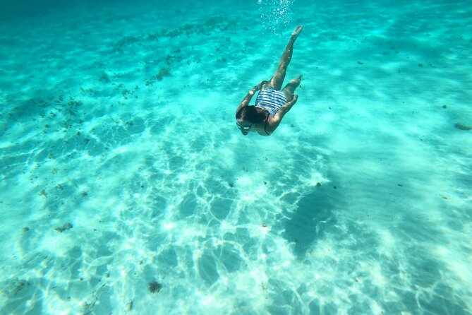 Bavarian Fiesta Snorkel Activity in Glass Bottom Boat at San Miguel de Cozumel - The Experience for Small Groups and Solo Bookings