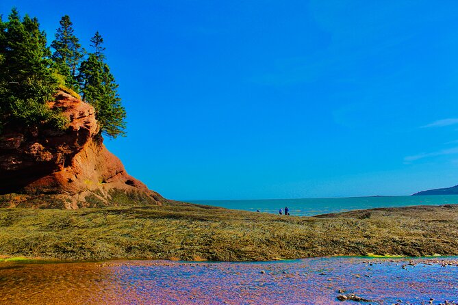 Bay Of Fundy Guided Tour - Discover the Unique Charm of the Bay of Fundy Guided Tour