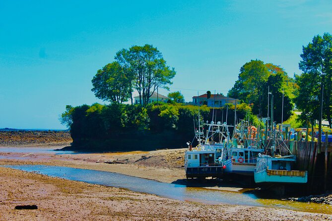 Bay Of Fundy Guided Tour - Exploring the Reversing Falls Rapids Twice