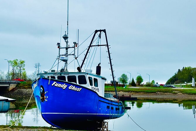 Bay Of Fundy Guided Tour - Visiting Carleton Martello Tower and Fort Howe