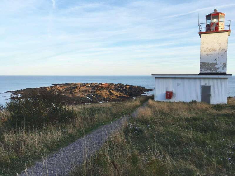 Bay of Fundy Tour by Mini Van - Evaluating the Experience: Strengths and Limitations
