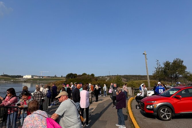 Bay of Fundy Tour Saint John NB - Exploring Carleton Martello Tower’s Historic Significance