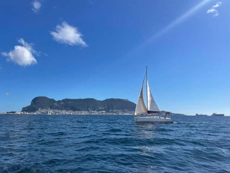 Bay of Gibraltar sail tour with huge ships, dolphin spotting, tapas & drinks - Key Points