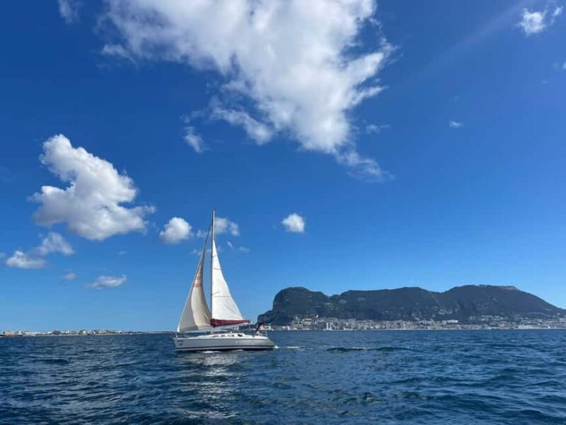 Bay of Gibraltar sail tour with huge ships, dolphin spotting, tapas & drinks - Sailing Among Large Merchant Ships and the Dockyard Activity