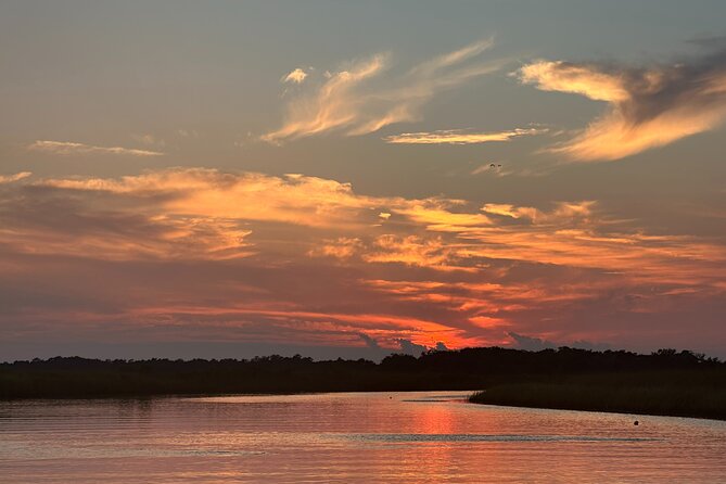 Bay Saint Louis Discovery Boat Tour - Wildlife and Marine Life: What You Might See
