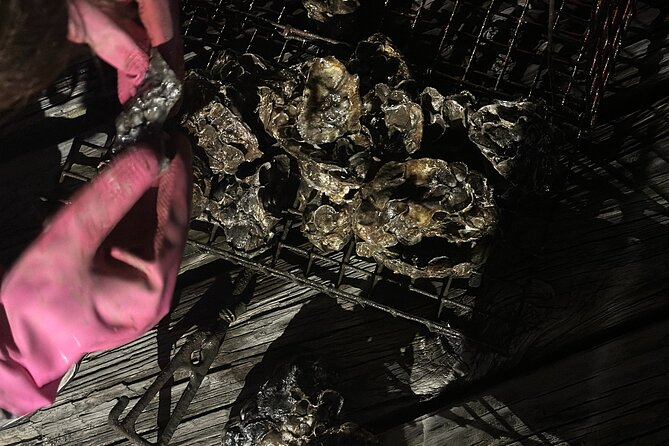 Bay Saint Louis Discovery Boat Tour - Concluding Thoughts: An Authentic Gulf Coast Experience