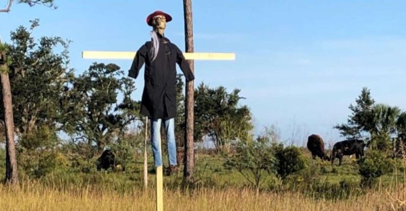 Bay Saint Louis, MS: The Haunted Bayou Cruise - Discover the Haunted Bayou Cruise in Bay Saint Louis, MS