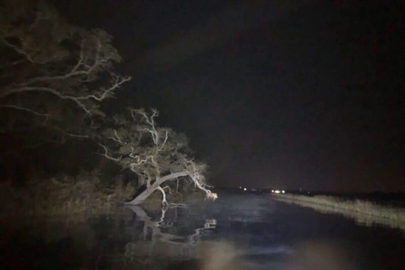 Bay Saint Louis, MS: The Haunted Bayou Cruise - Practical Tips for the Haunted Bayou Cruise