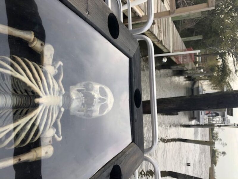 Bay Saint Louis, MS: The Haunted Bayou Cruise - The Cost-Effective Value of the Haunted Bayou Cruise