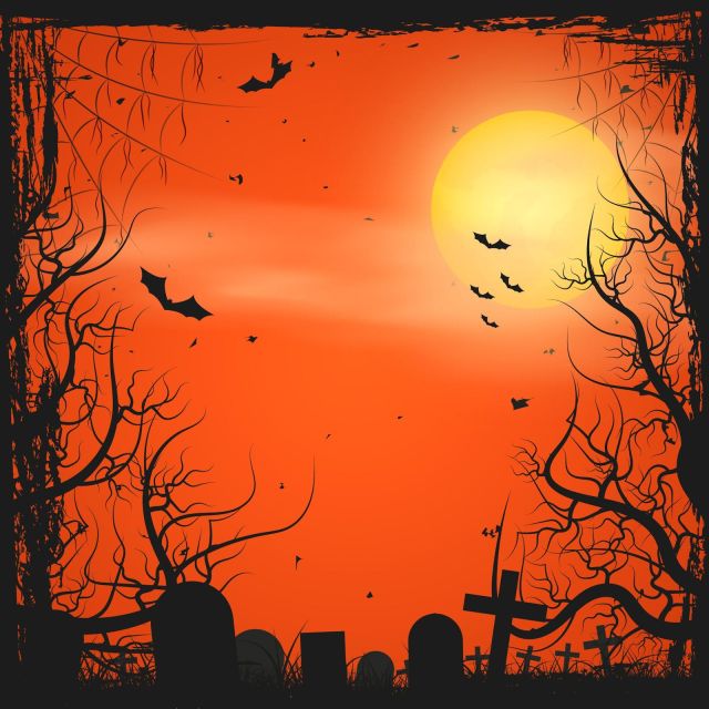 Bay Saint Louis: The Spirit Ghost and Walking Tour - The Gallery and Its Haunted Past