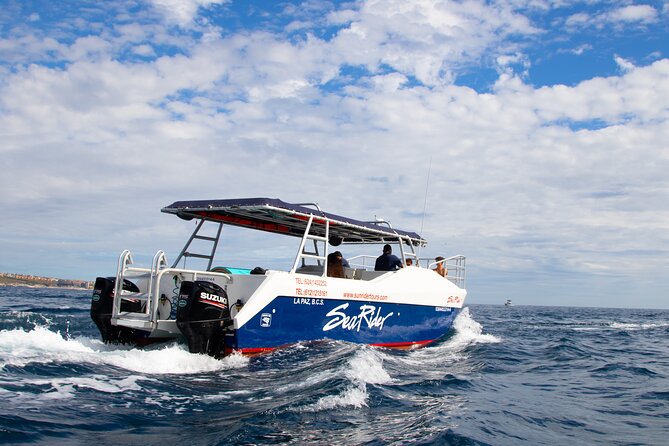 Bay Trip and the Arch of Cabo San Lucas - Neptune’s Finger and Pelican Rock: Iconic Formations and Marine Views