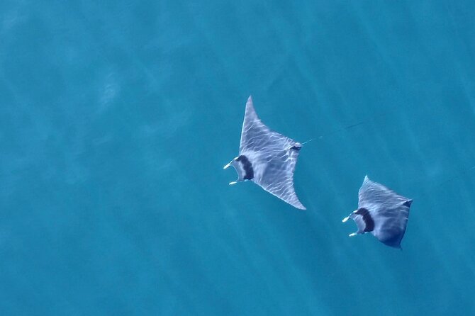 Bay Trip and the Arch of Cabo San Lucas - The Rock at the End of the Earth and Sea Lion Encounters