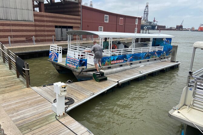 Baywatch Dolphin Tour - Expert Guides and Entertaining Captains