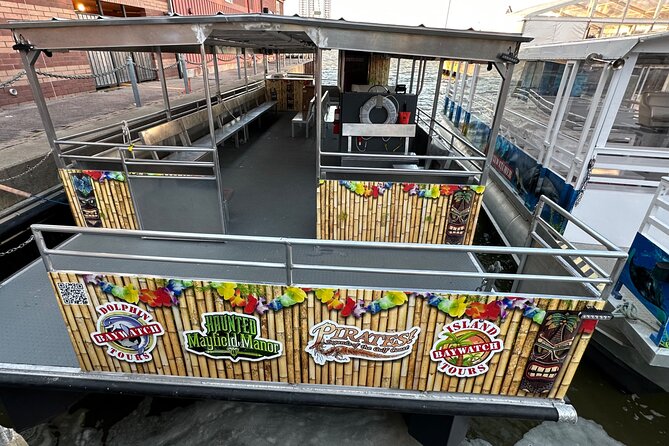 Baywatch Dolphin Tour - What You Can Expect on the Water