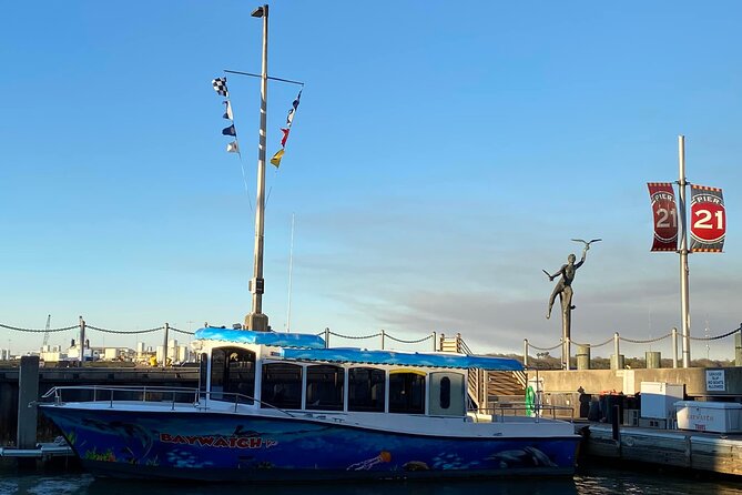 Baywatch Dolphin Tour - The Unique Features of Baywatch’s Fleet