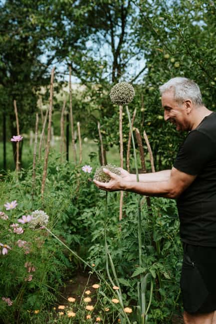 Bazna: Saxon Dinner in a rural house from the village - Accessibility, Group Size, and Practical Details