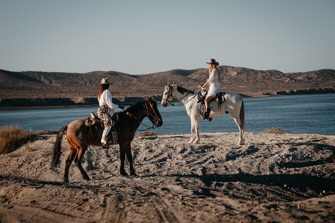 Beach and Desert Scenic Horseback Ride in Baja California Sur - Discover Baja California Sur on a Scenic Horseback Ride