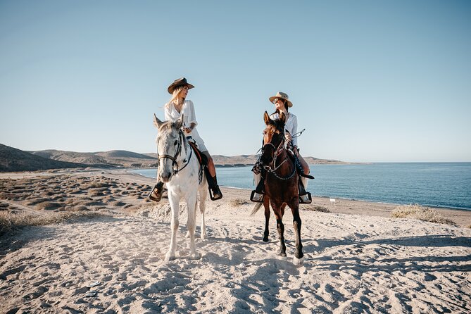 Beach and Desert Scenic Horseback Ride in Baja California Sur - Weather and Cancellation Policies