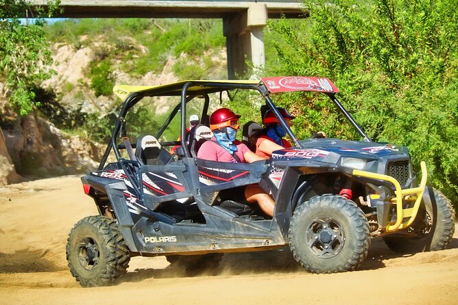 Beach and Desert UTV with Horseback Riding Experience - Exciting UTV and Horseback Adventure in Cabo San Lucas