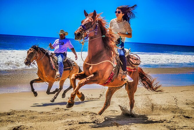 Beach and Desert UTV with Horseback Riding Experience - Key Points