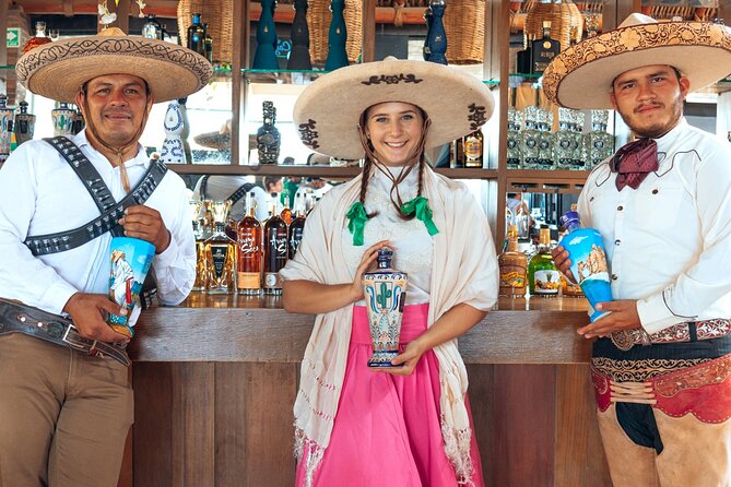 Beach ATV, Free Camel Ride & Sky Bike Combo - Sky Bikes: Pedaling Above the Dunes and Ocean