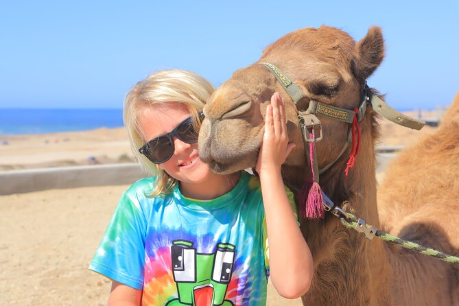 Beach Camel Ride & Encounter in Cabo - Discover the Unique Beach Camel Ride & Encounter in Cabo