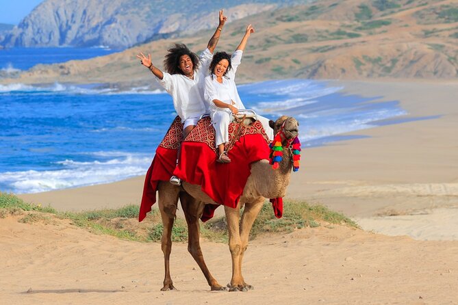 Beach Camel Ride & Encounter in Cabo - Key Points