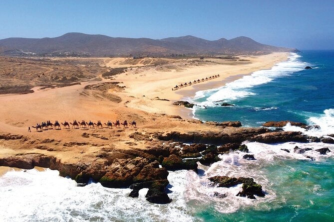 Beach CAN-AM SXS X3 & Camel Ride in Cabo by Cactus Tours Park - Playa Migrino: The Beach Ride and Whale Watching